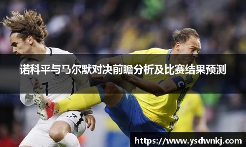 诺科平与马尔默对决前瞻分析及比赛结果预测